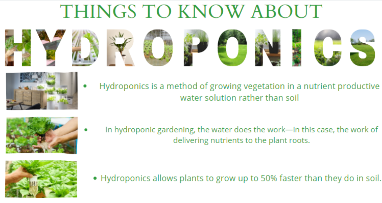 KP Kool Products – wholesale Plant pot – Net Pot 3 Inch with Lids Mesh Hydroponic Aeroponic Orchid Round (25 Pack)6