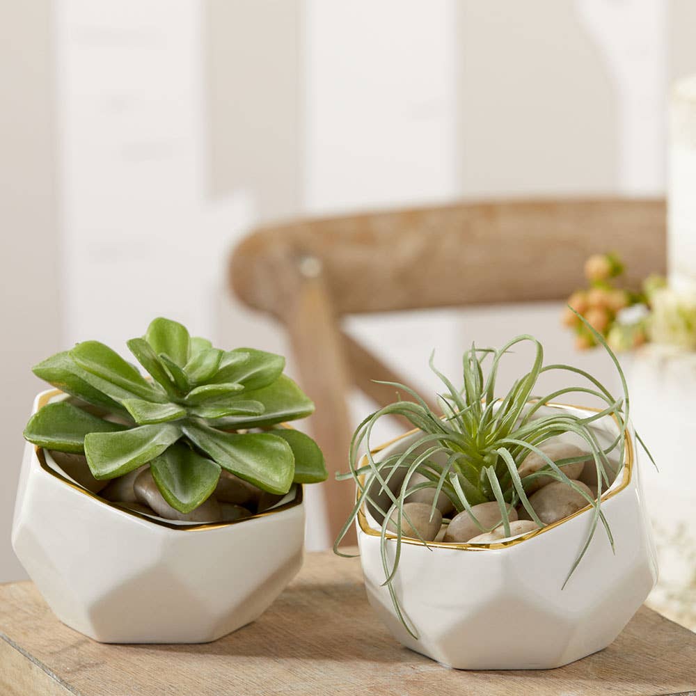 Kate Aspen - Wholesale Plant Pot - Geometric Ceramic Planter - Small & Medium (Set of 2)5