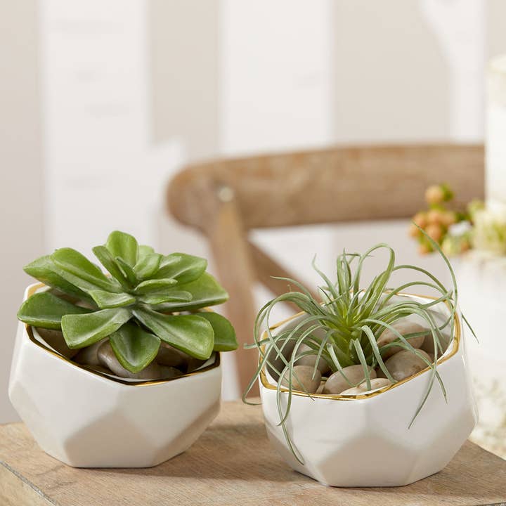 Kate Aspen - Wholesale Plant Pot - Geometric Ceramic Planter - Small & Medium (Set of 2)5