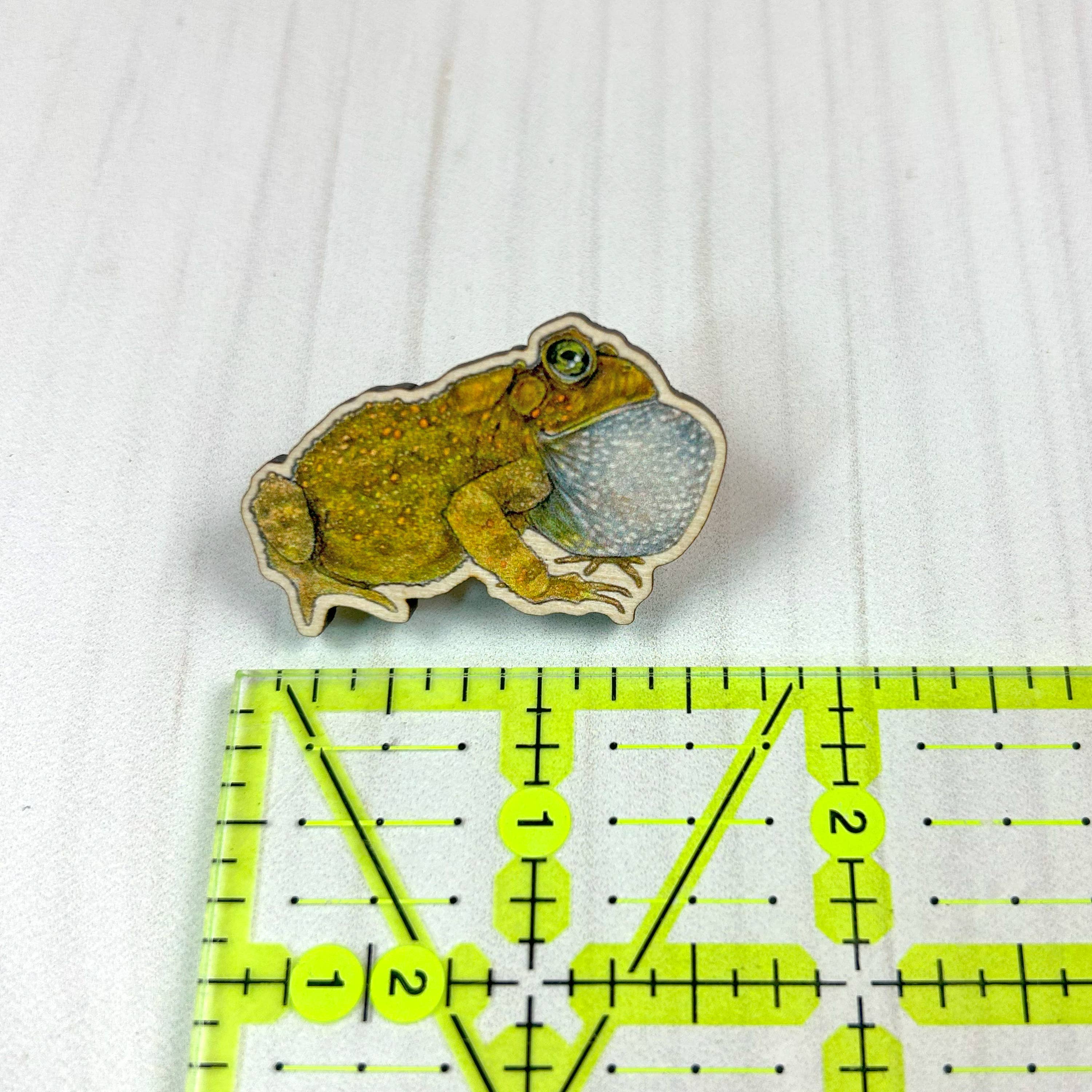 Sarah Draws Things - Wholesale Lapel Pin/Button - American Toad - 1.5" illustrated wooden pin 2