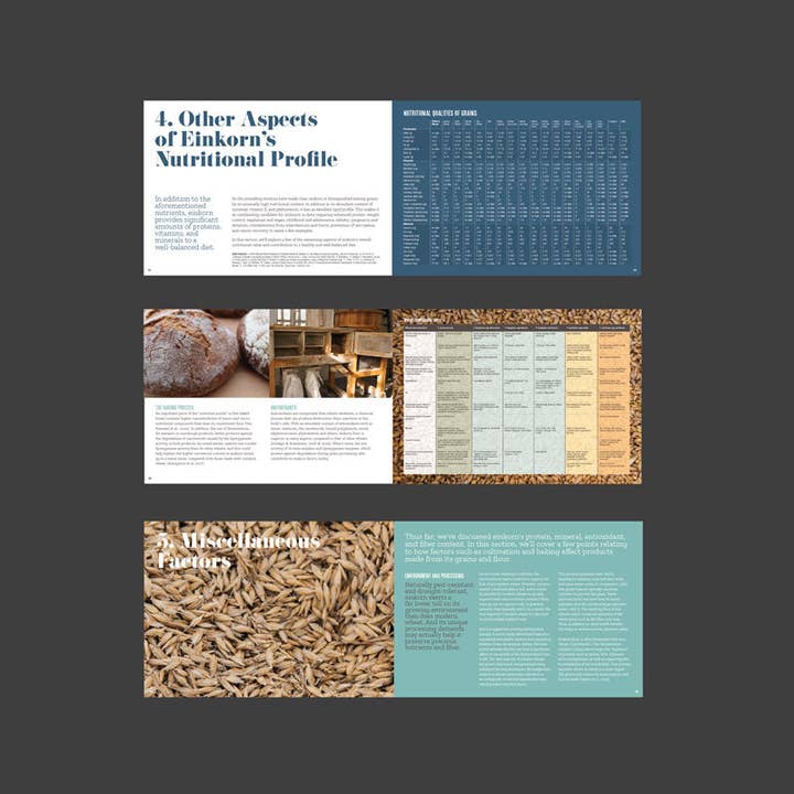 Revival Einkorn - Wholesale Diet & Nutrition - Einkorn Explained: The Healthy Alternative to Modern Wheat3