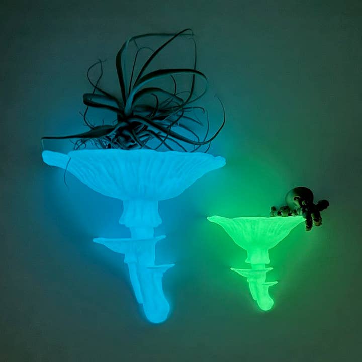 Brehmwood Creative - Wholesale Wall Mounted Shelf - Amanita Fungi Glowing Floating Shelf | Unique Decor Accent That Illuminates Your Space0