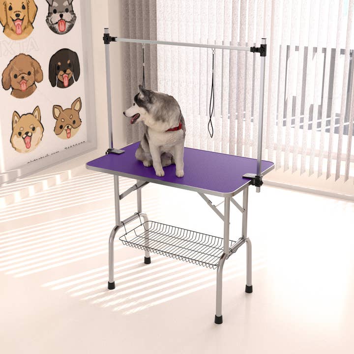 42'' Folding Pet Grooming Table with Arm & Clamp in Purple for wholesale by 39F Inc.