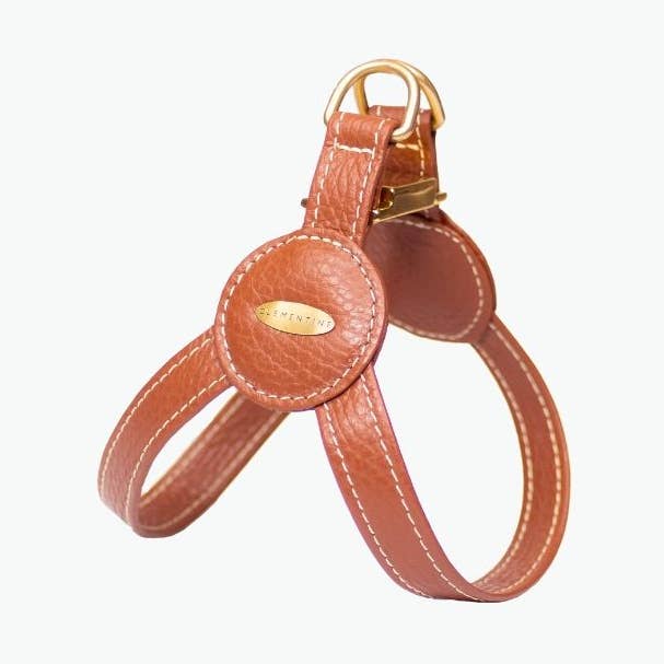 Devon Harnas - BRUIN, Extra klein voor wholesale door Clementine est dogs