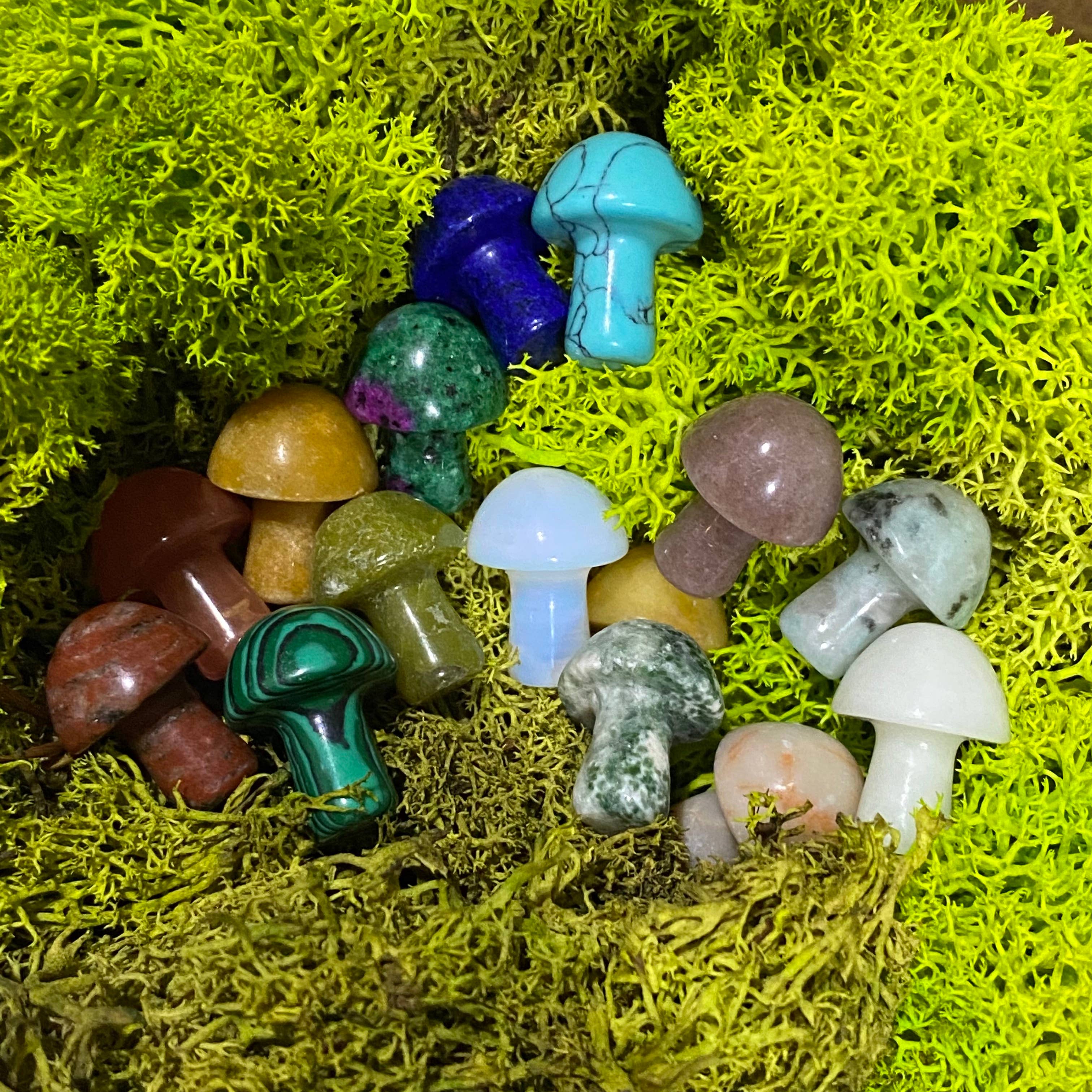 Wax Apothecary - Wholesale Spiritual Stone/Crystal - 🍄 Crystal Mini Mushroom Stone Assortment 🍄9