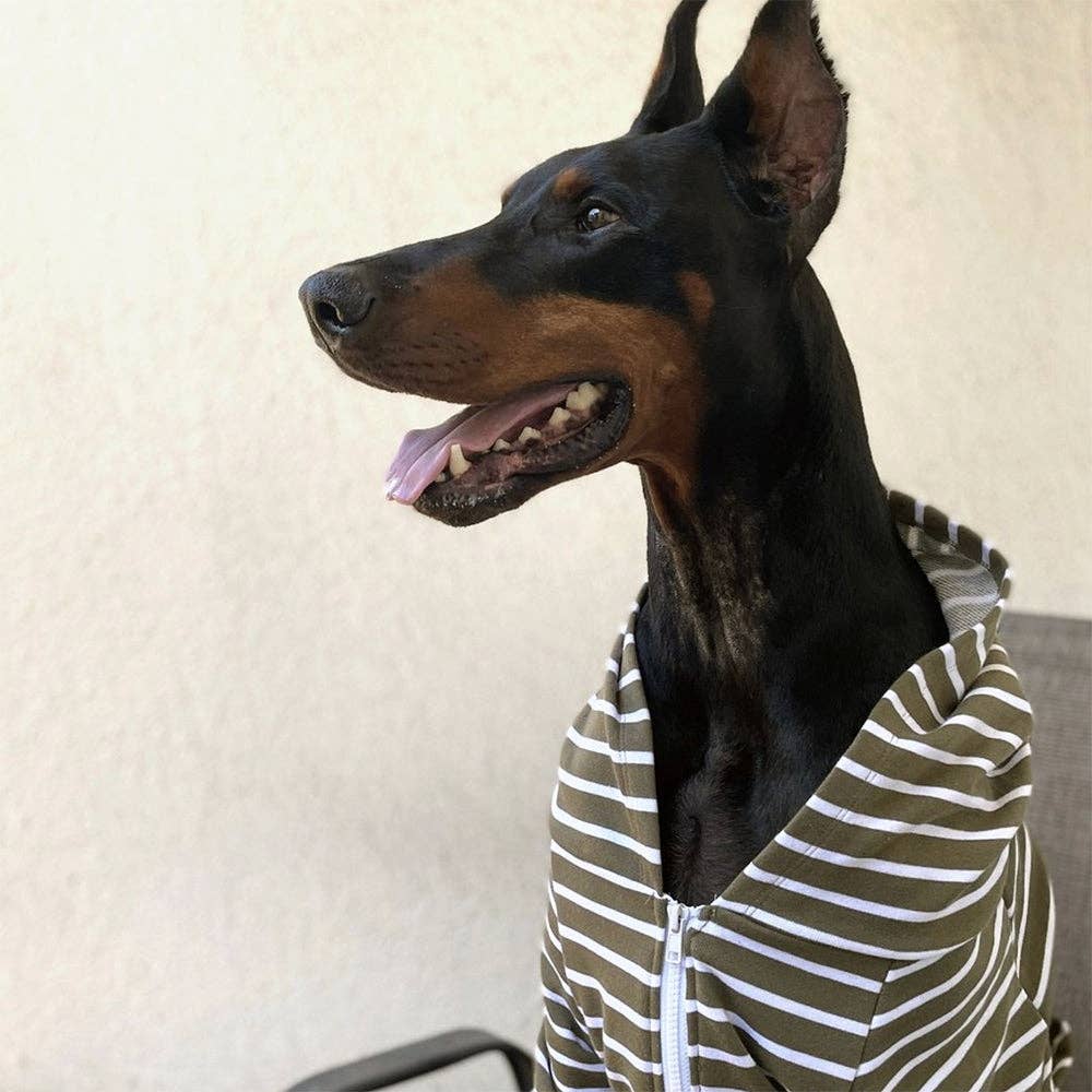 Milltown Brand - Wholesale Pet Hoodie - Dog - Zip Up Dog Hoodie  - Olive x White Stripe1