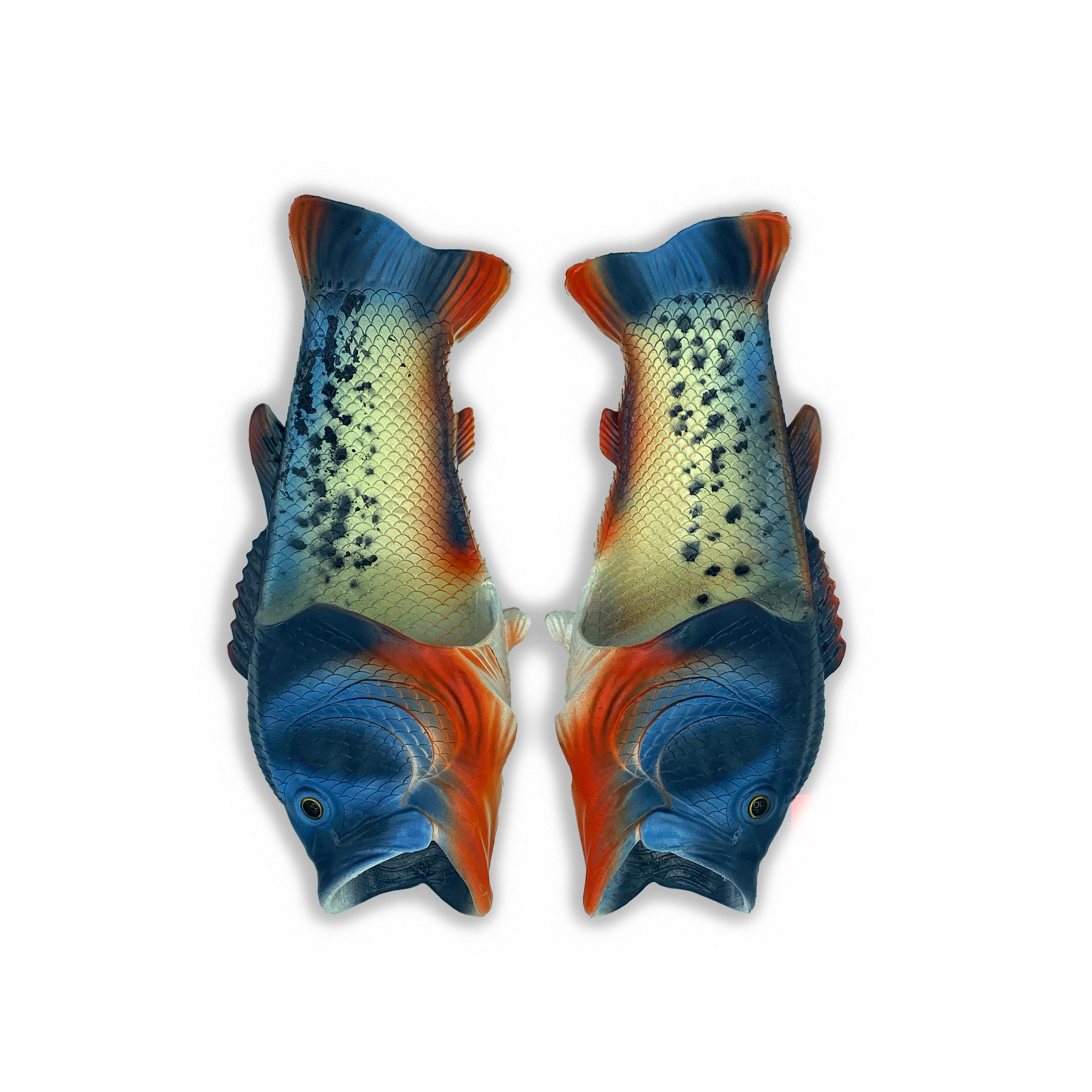 Coddies - Venta al por mayor Zapatillas para casa - Unisex - Sandalias Coddies con diseño de pez bass | Zapatillas con forma de pez39