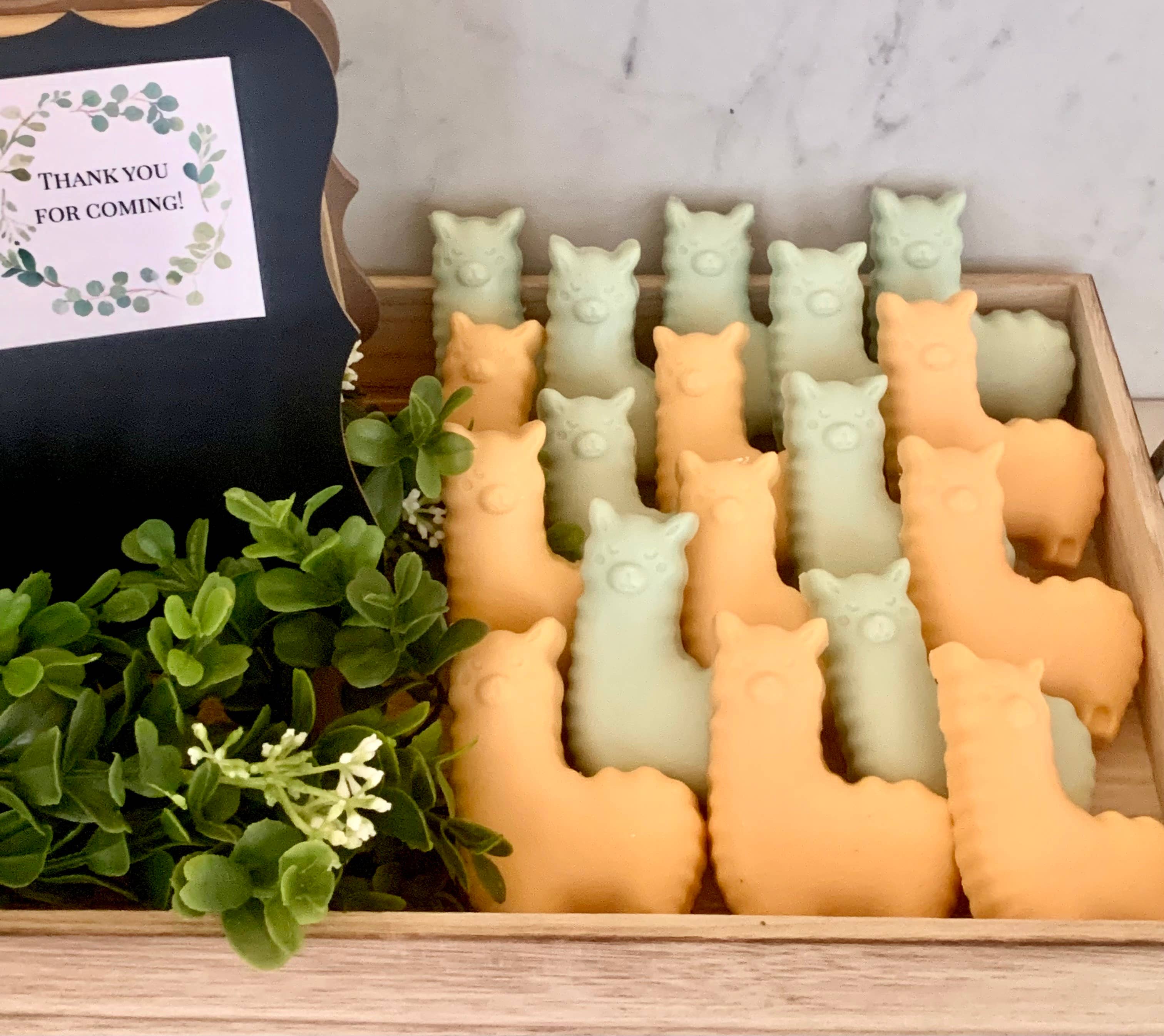 Plunk Soap and Candle Company - Wholesale Bar Soap - llama soap | children soap| Guest Soaps2