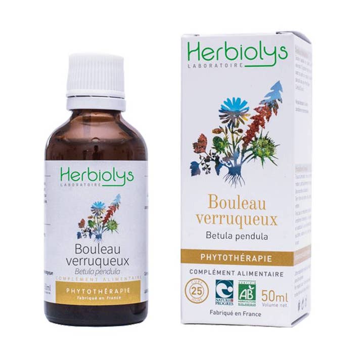 Warty Birch Phytotherapy for wholesale by Herbiolys