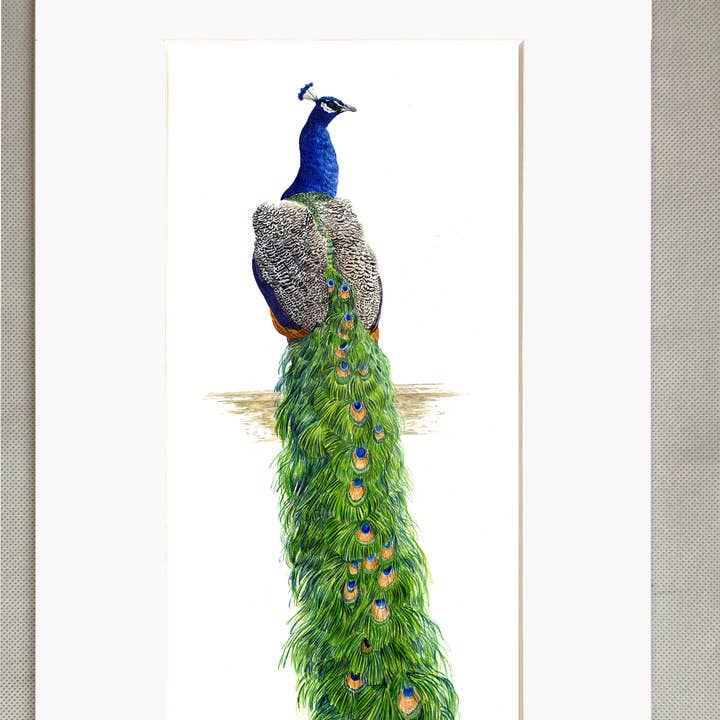 Peacock print for wholesale by Robinson Collection