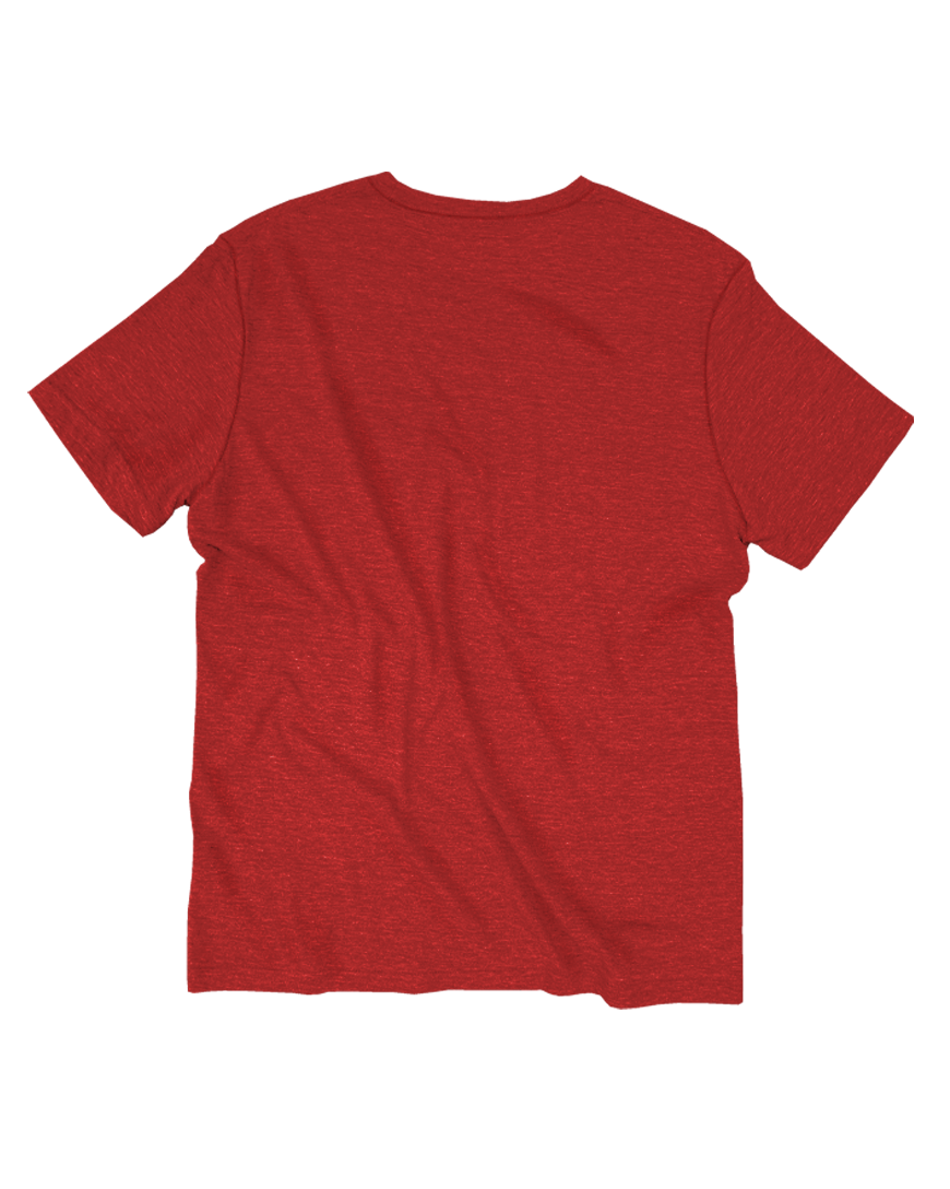 GOEX Apparel - Wholesale T-Shirt - Men's - Unisex Short Sleeve Triblend Tee5