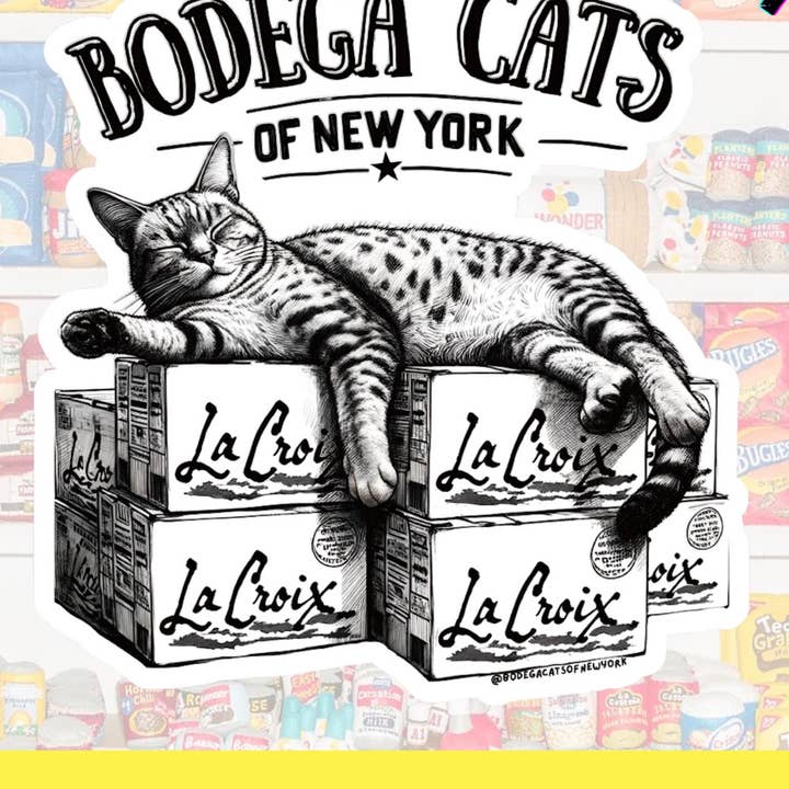 Bodega Cats of New York 3.86" Magnet (Stretch Out Box Cat) for wholesale by Bodega Cats of New York