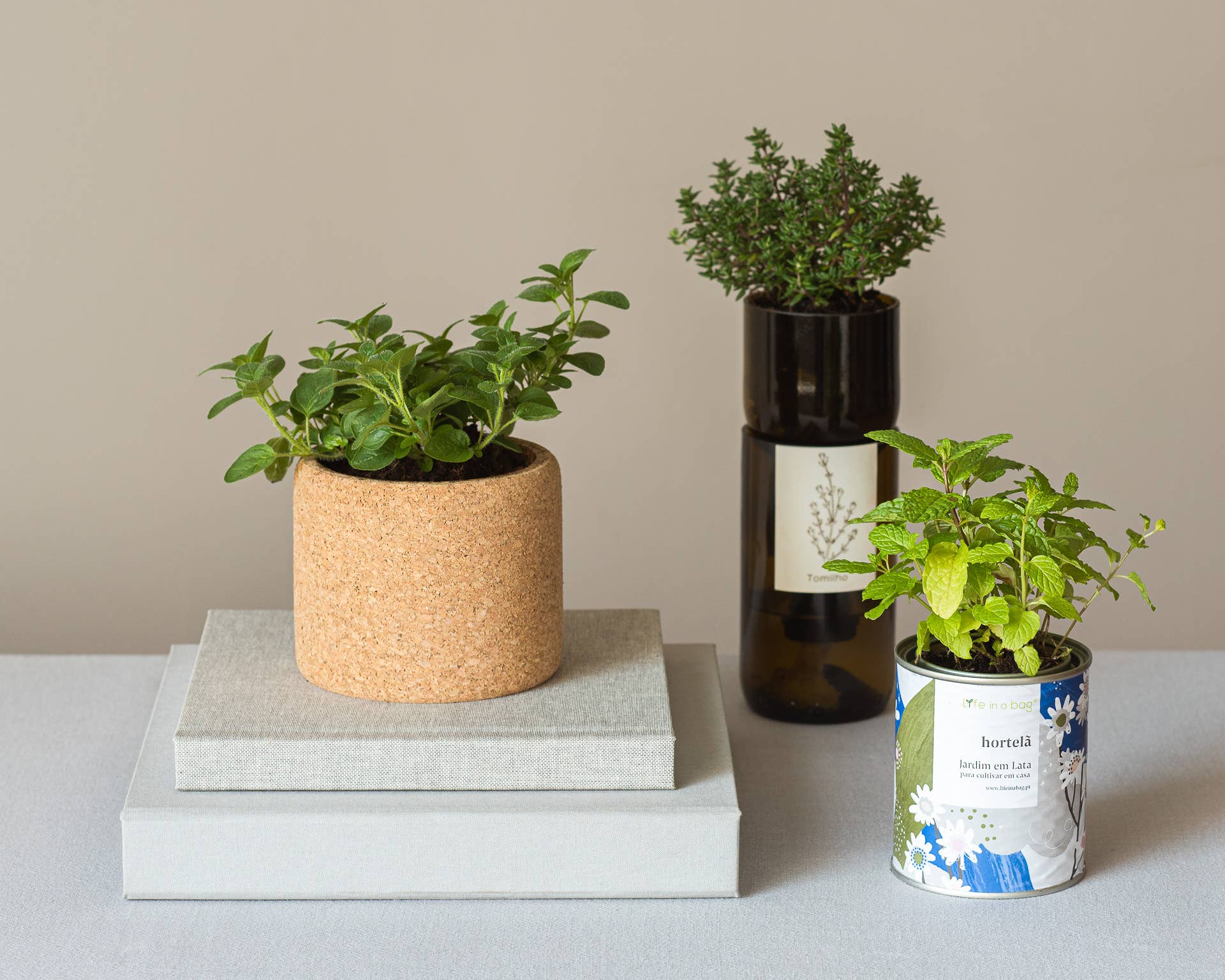 Life in a bag - Wholesale Plant Seeds - Grow Bottle Basil4