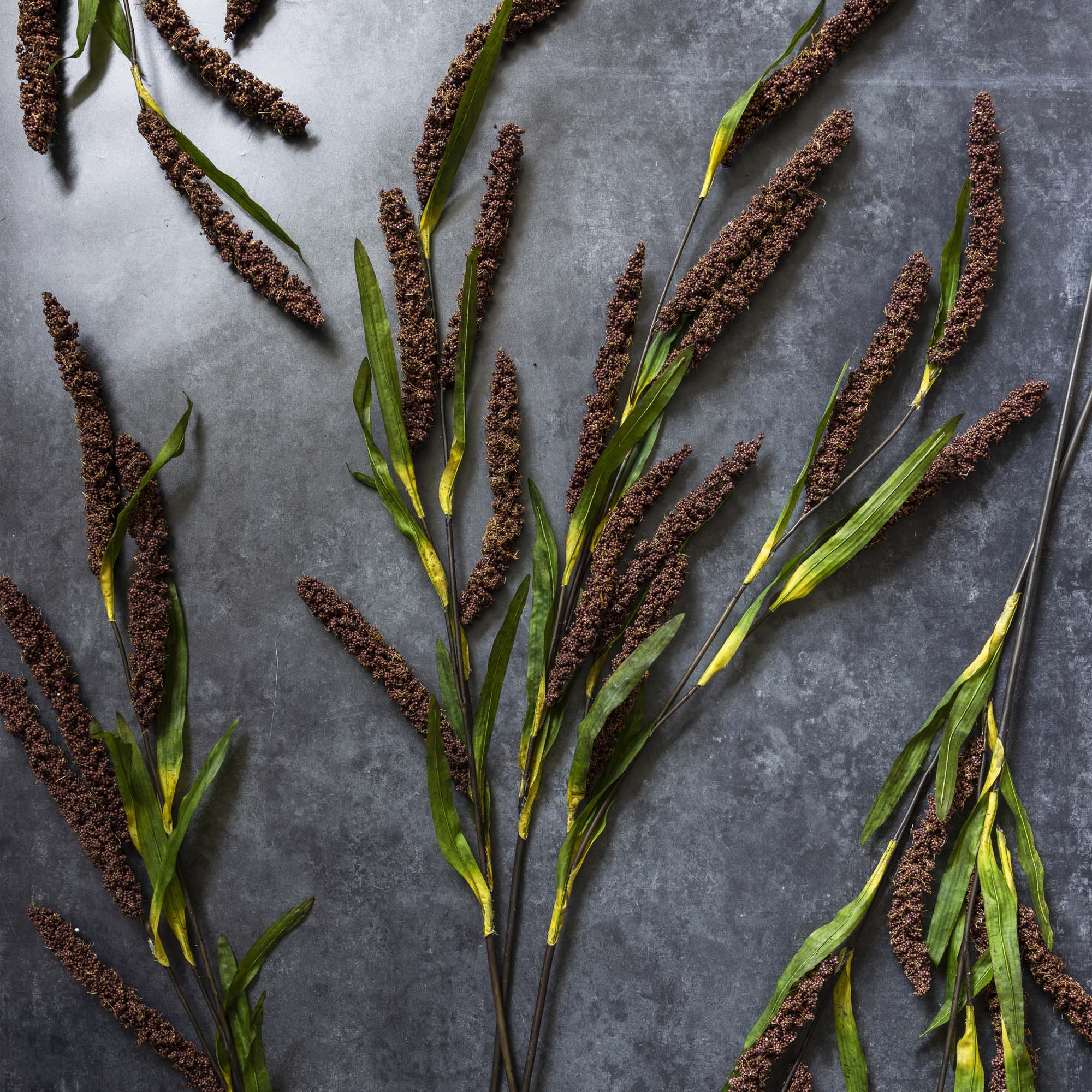 Abigail Ahern – Engroshandel Kunstige blomster – KUNSTIG RISBLOMST1