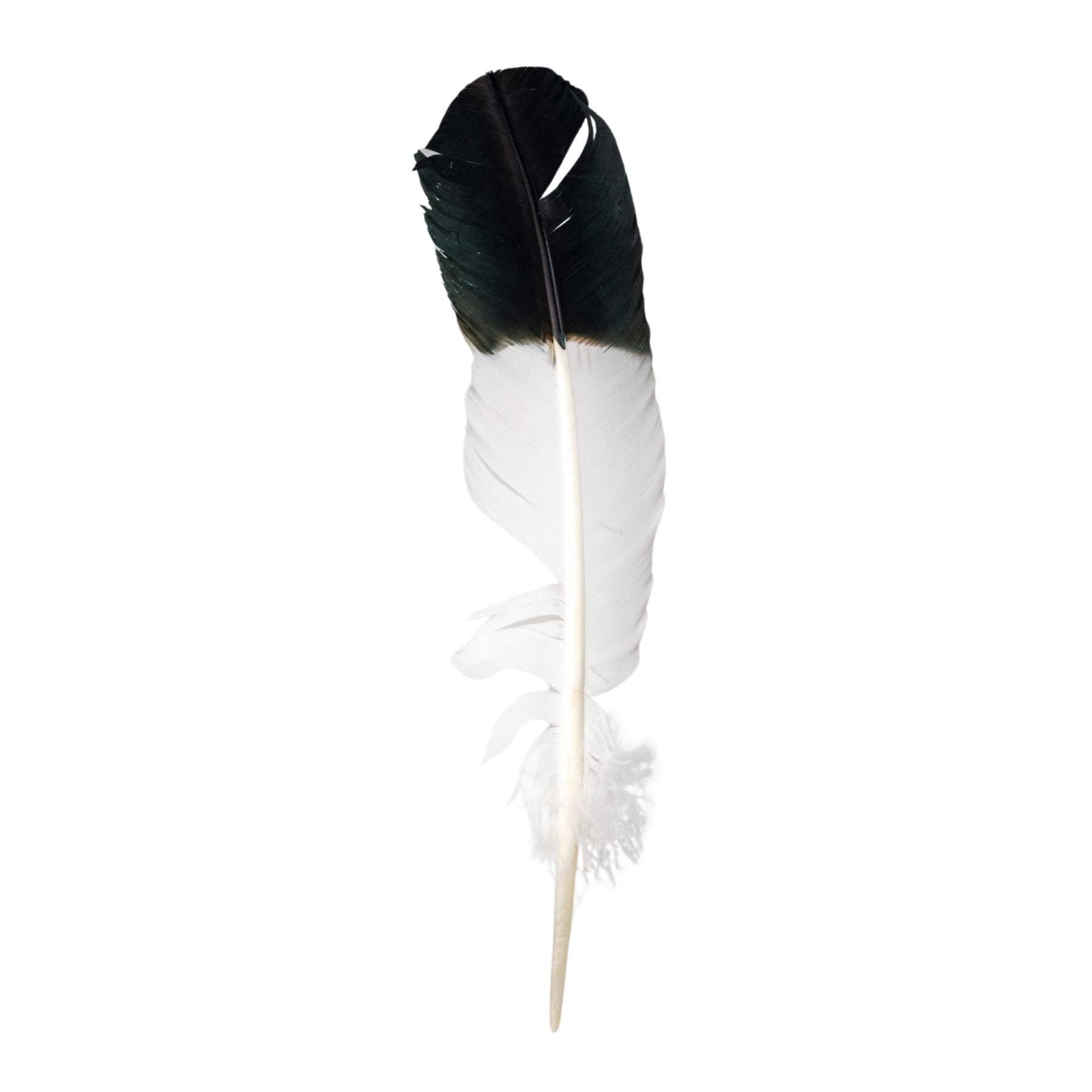 Down To Earth - Wholesale Spiritual Stone/Crystal - Imitation Eagle Feather.0