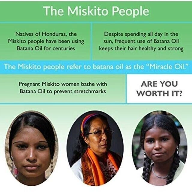 Au Natural Organics – wholesale Hair oil – Bulk Pure Batana Oil for Hair Growth Supplier Honduras 1 ltr3