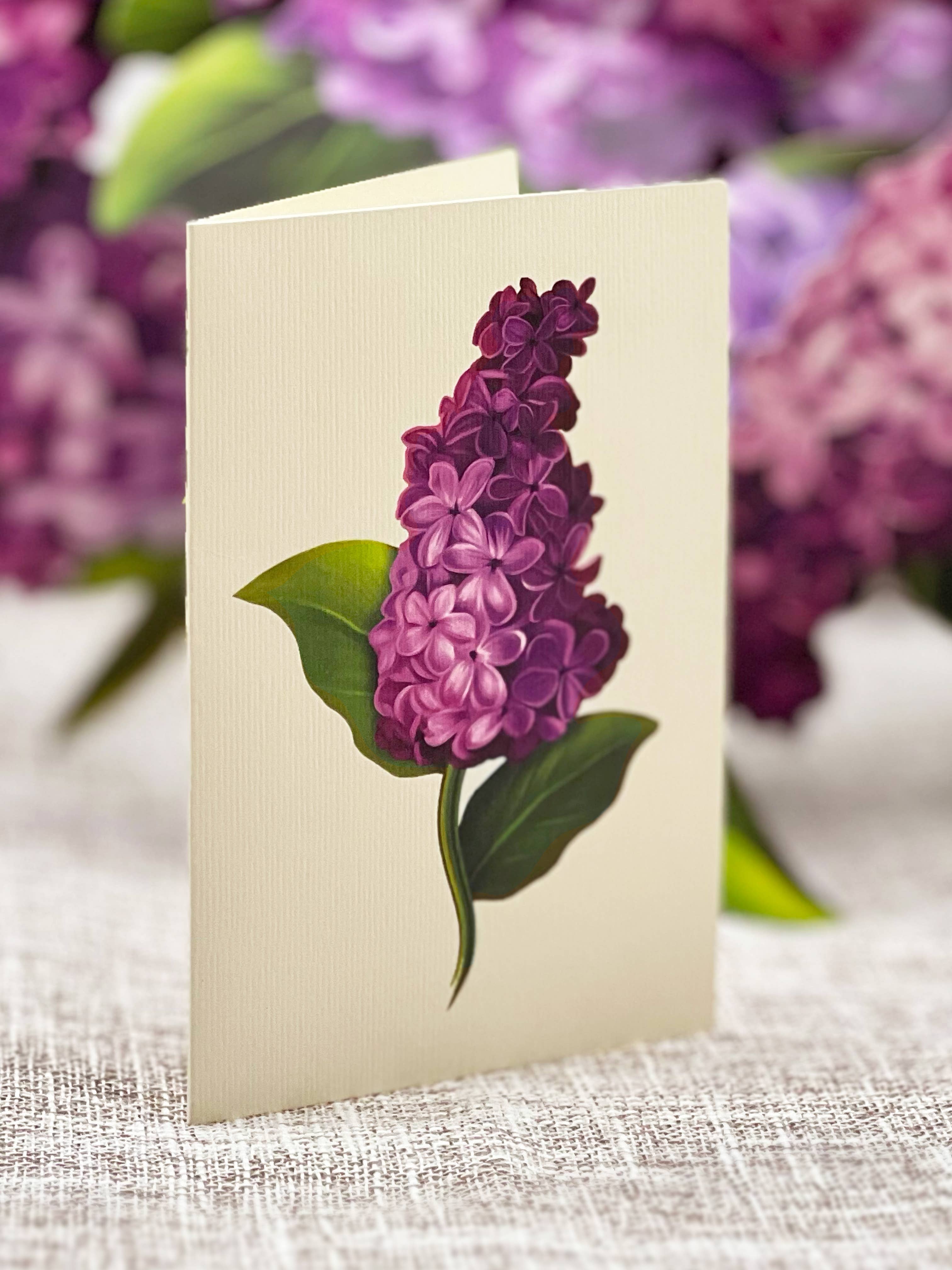 FreshCut Paper LLC - Wholesale Everyday Greeting Card - Garden Lilacs (8 Pop-up Greeting Cards)3