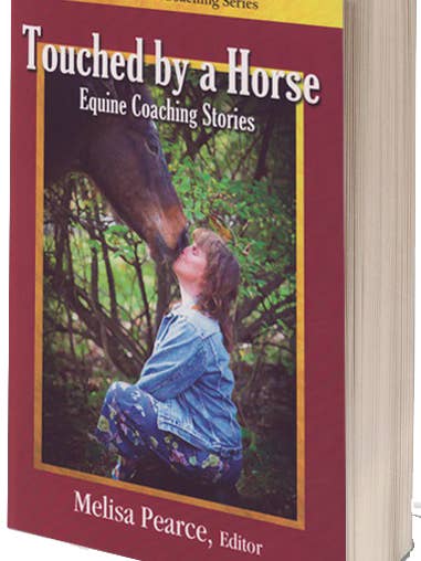 Touched by a Horse Equine Coaching Stories - Volume 1 for wholesale by Touched By A Horse