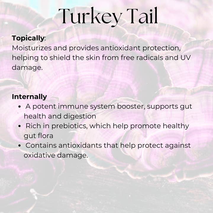 Glowshroom Apothecary - Wholesale Facial Serum/Concentrate - Myco-A + Collagen – Mushroom, 1% Retinol & Collagen Serum8