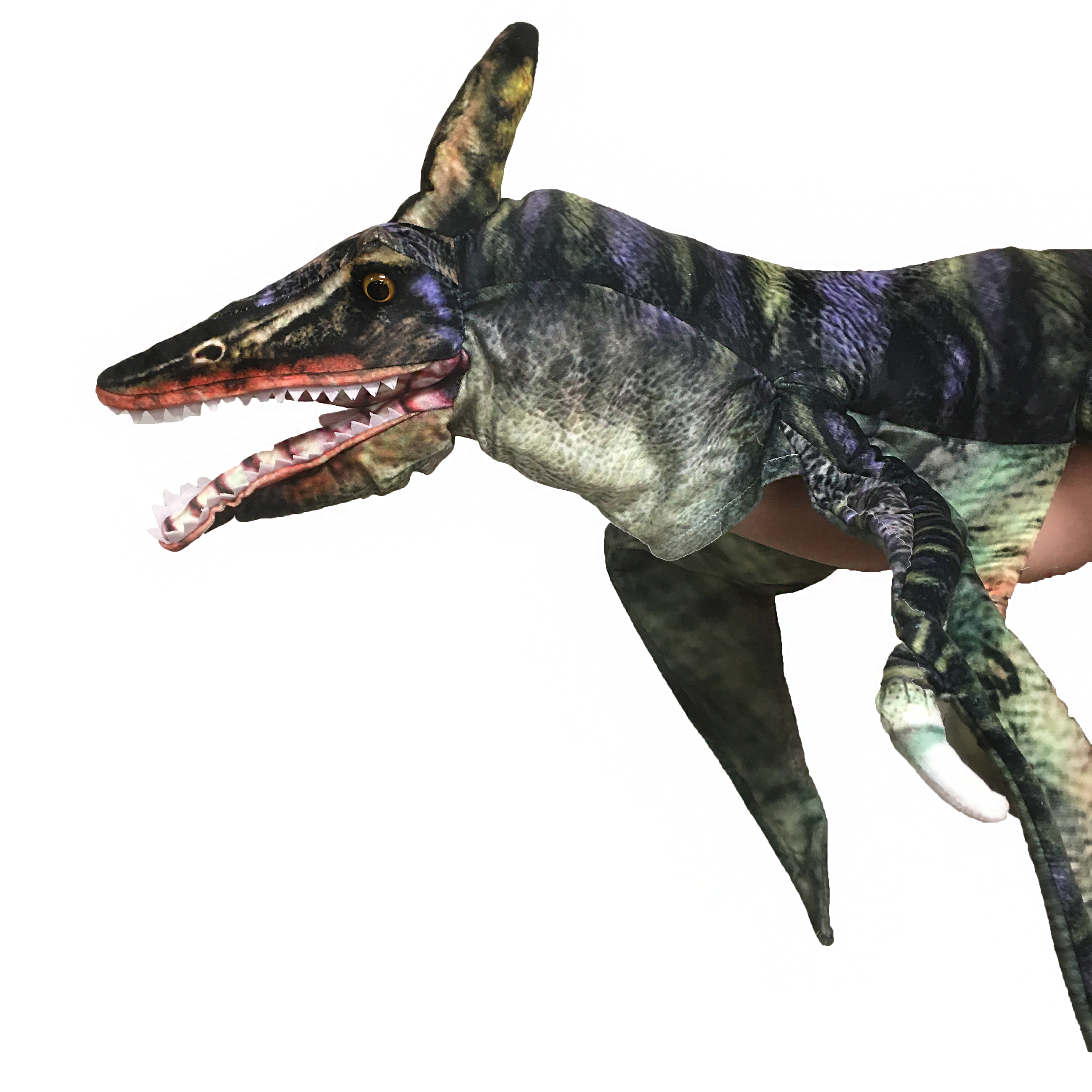 Texas Toy Distribution - Vendita all'ingrosso Peluche - Bambini e neonati - Pterosaur, pupazzo di peluche a forma di dinosauro, 10,2 cm3