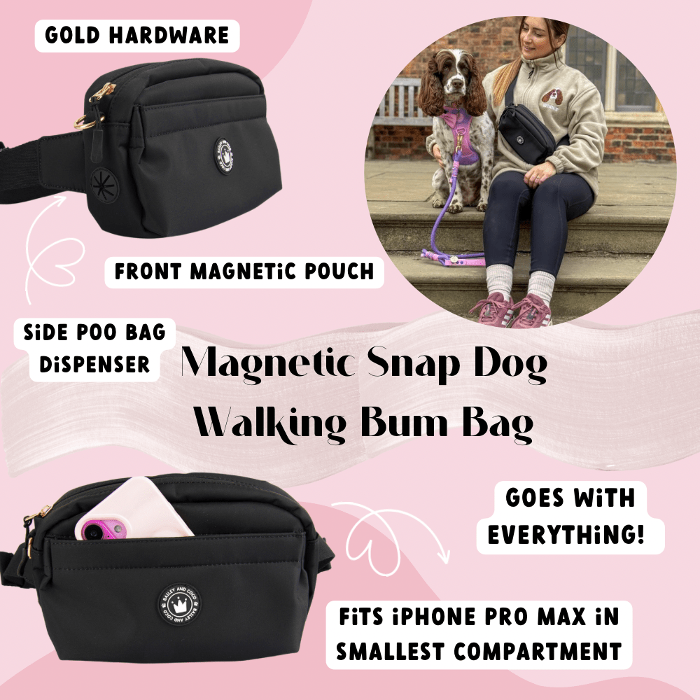 Bailey and Coco – wholesale Pet treat bag – Dog – Magnetic Snap Dog Walking Bum Bag - Black4