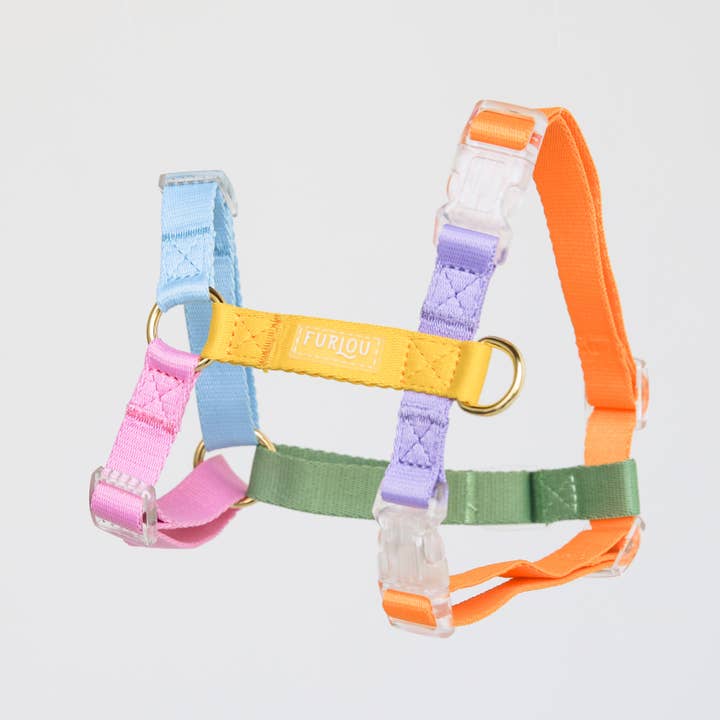 Furlou - Wholesale Pet Harness - Dog - Rainbow - Dog Harness