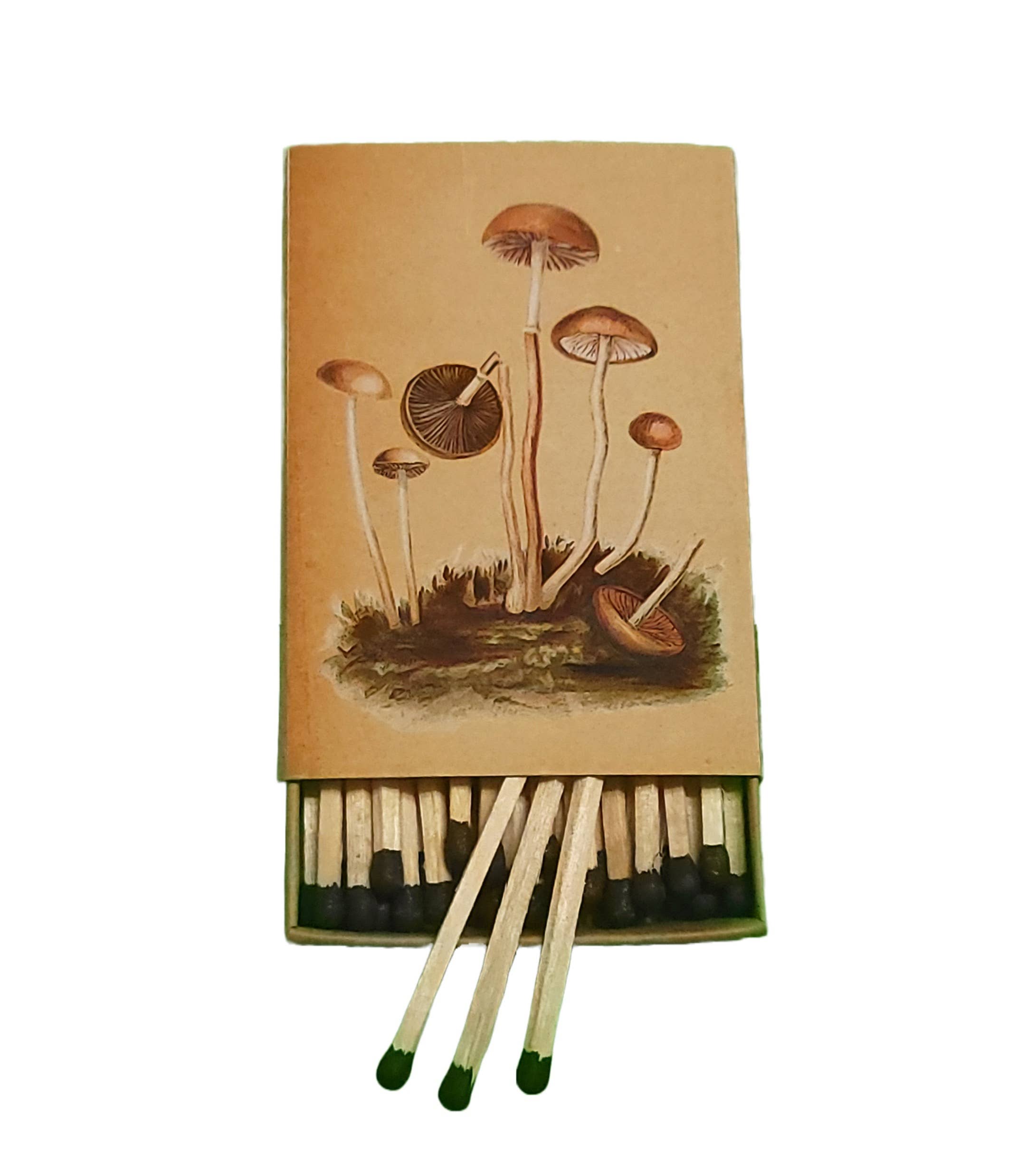 Superior Dry Goods - Wholesale Matches - "Natural 'Shrooms!" Handmade Decorator Matchbox Lot3