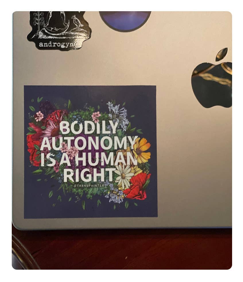 Transpainter - Wholesale Sticker - Bodily Autonomy is a Human Right Sticker | Feminist Stickers16