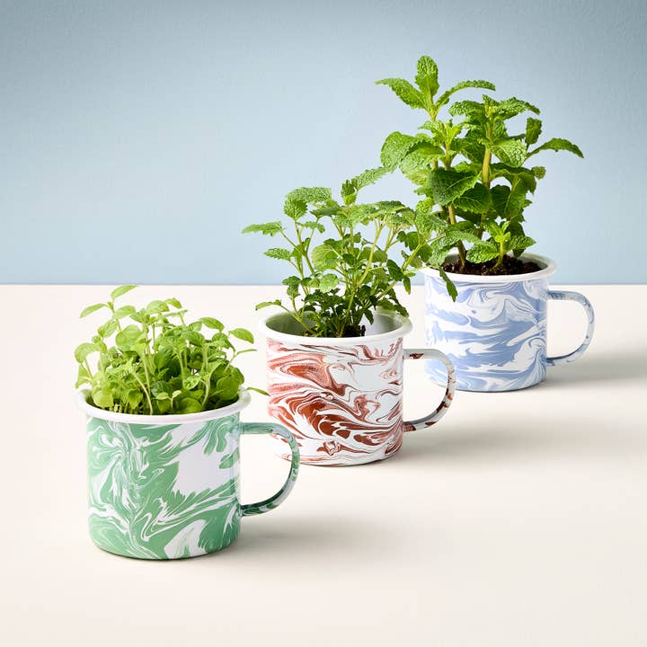 Modern Sprout - Wholesale DIY Craft Kit - Altered Herbs Mug Grow Kits
