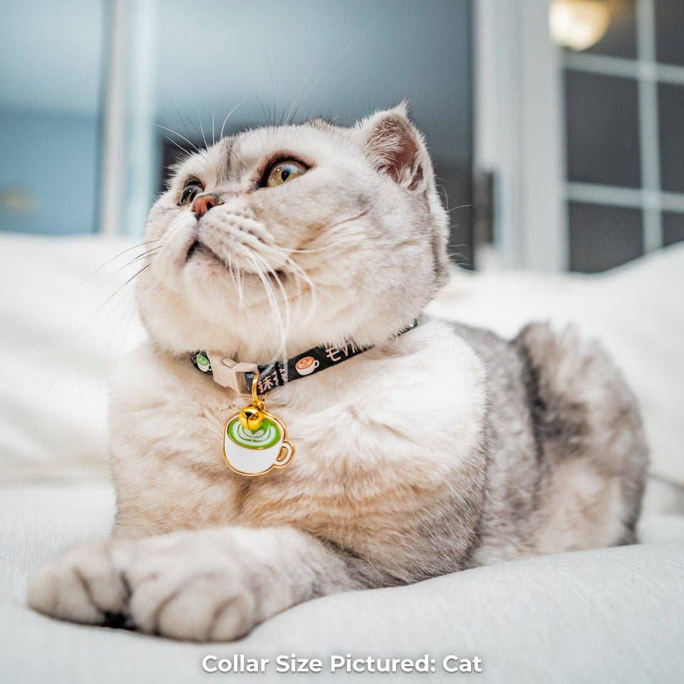 Pawsonify - Wholesale Pet Collar - Cat/Dog - Latte Collar1