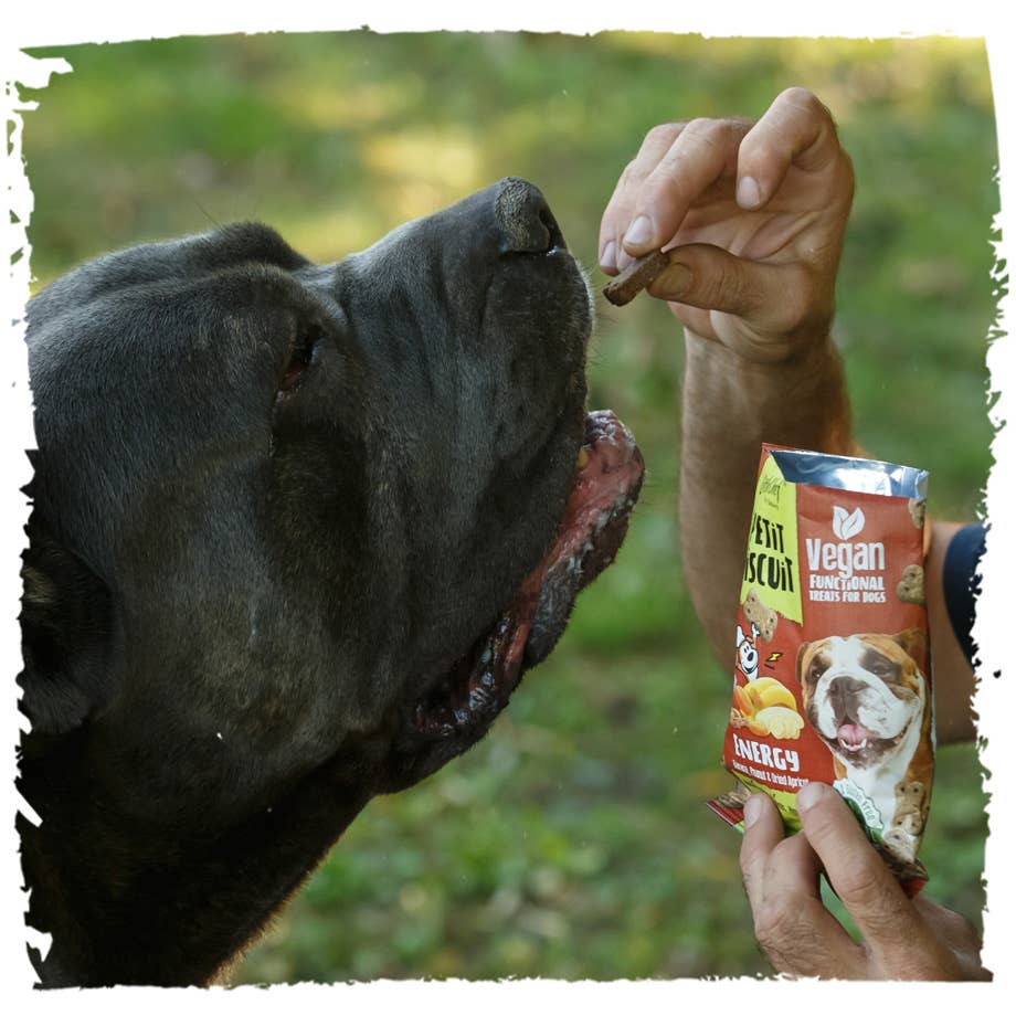 United Pet Brands - Wholesale Hondenkoekjes - Hond - Vegan natuurlijke functionele snack voor energie, graanvrij - 100 g7