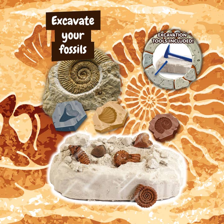 Science4you - Wholesale Toy Set - Kids - Fossils Excavations for Kids (Educational Toy 7 languages)2