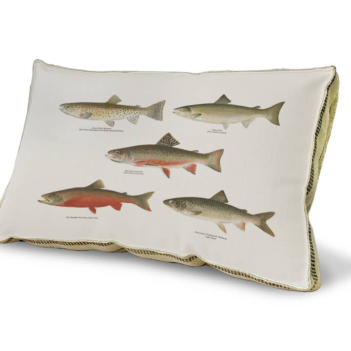 23" x 15" - Sierkussen - Forelstudie voor wholesale door SPLASHWORKS