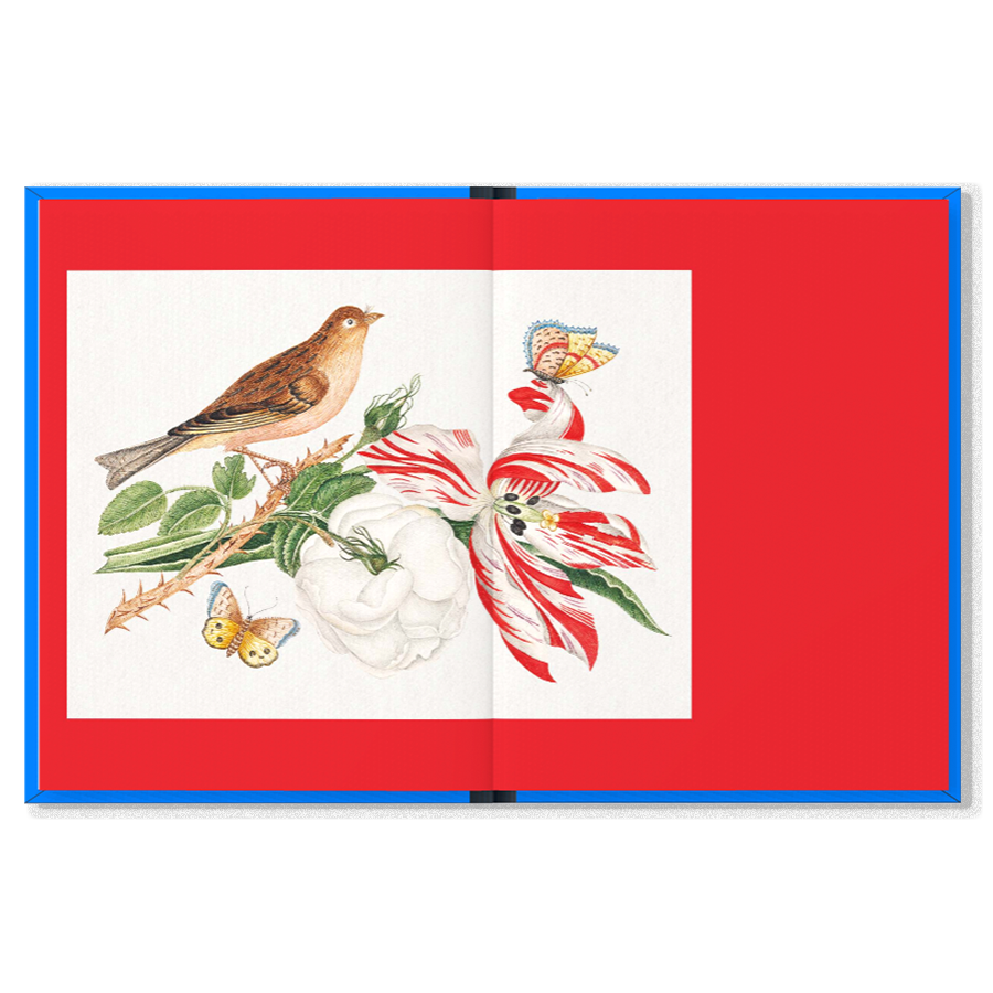 K.Co Press - Wholesale Book - Adult - COMING SOON | Birds3