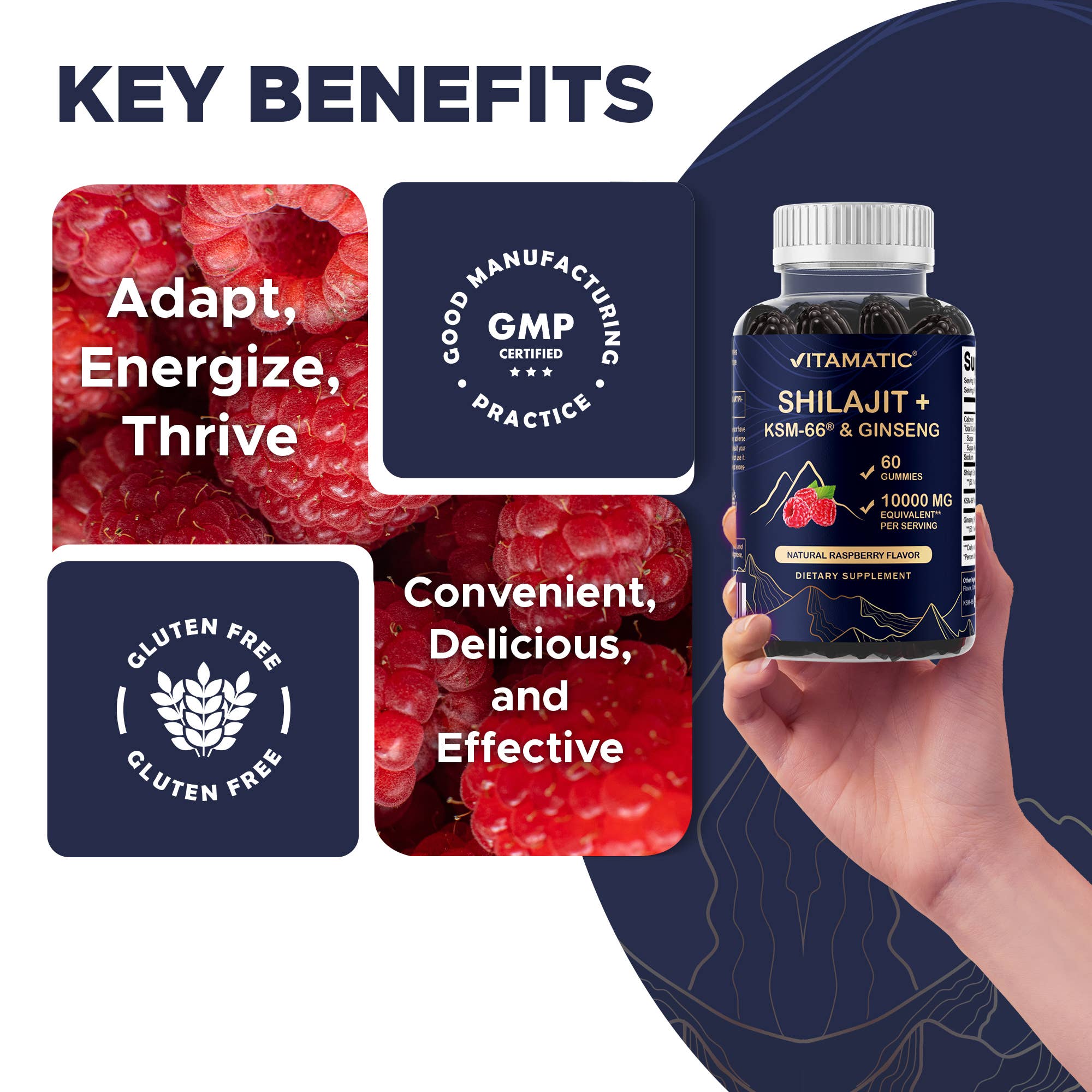 Vitamatic – wholesale Oral supplement/vitamin – Vitamatic Shilajit with KSM-66® Ashwagandha & Ginseng-60 Ct4