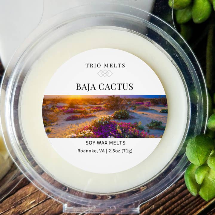 Baja Cactus Wax Melt for wholesale by Trio Melts