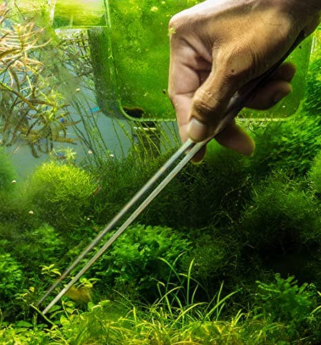 Mandala Crafts - Wholesale Garden Tool - Long Stainless Steel Aquascape Tool Kit for Saltwater Freshwater Aquarium Plant Trimming, Fish Tanks, Terrariums5