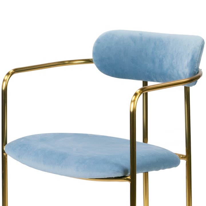 Glamour Home - Wholesale Chair - Set of 2 Anaya Velvet Dining Chairs with Golden Legs6