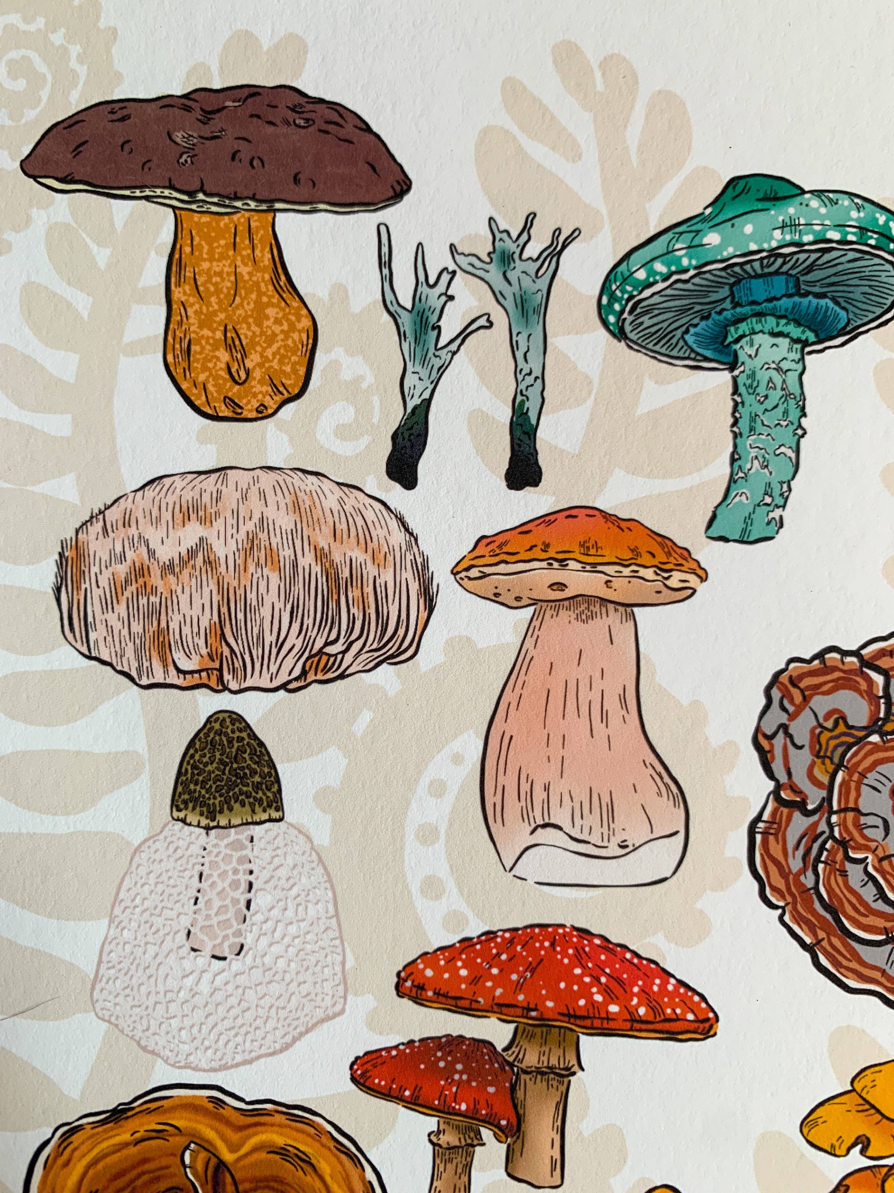 Bean Horse Car Designs - Wholesale Art Print - A to Z Mushrooms Art Print3