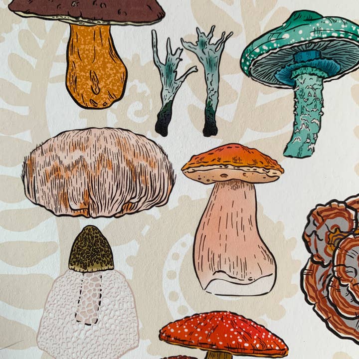 Bean Horse Car Designs - Wholesale Art Print - A to Z Mushrooms Art Print3