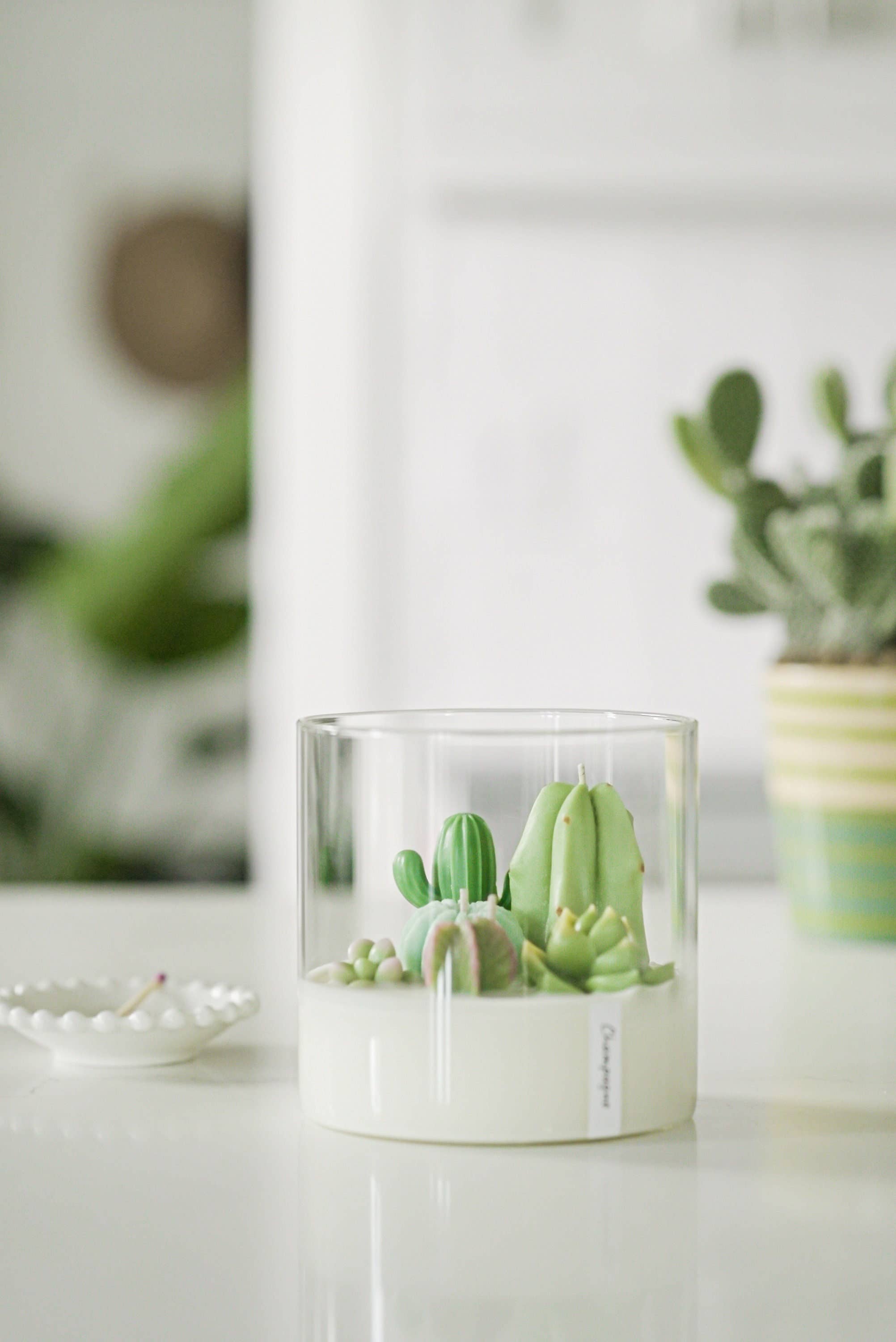 ZOETSTUDIO - Vente Bougies originales - Grande bougie pour terrarium à 3 mèches | Mélange de soja3