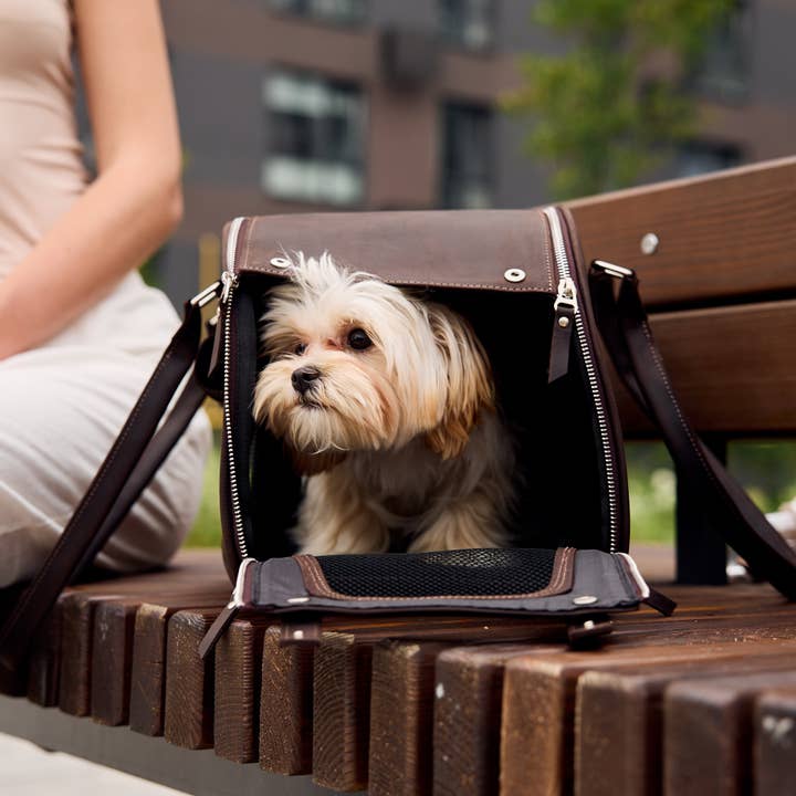 Pikore - Wholesale Pet carrier – Dog - Leather dog carrier bag8