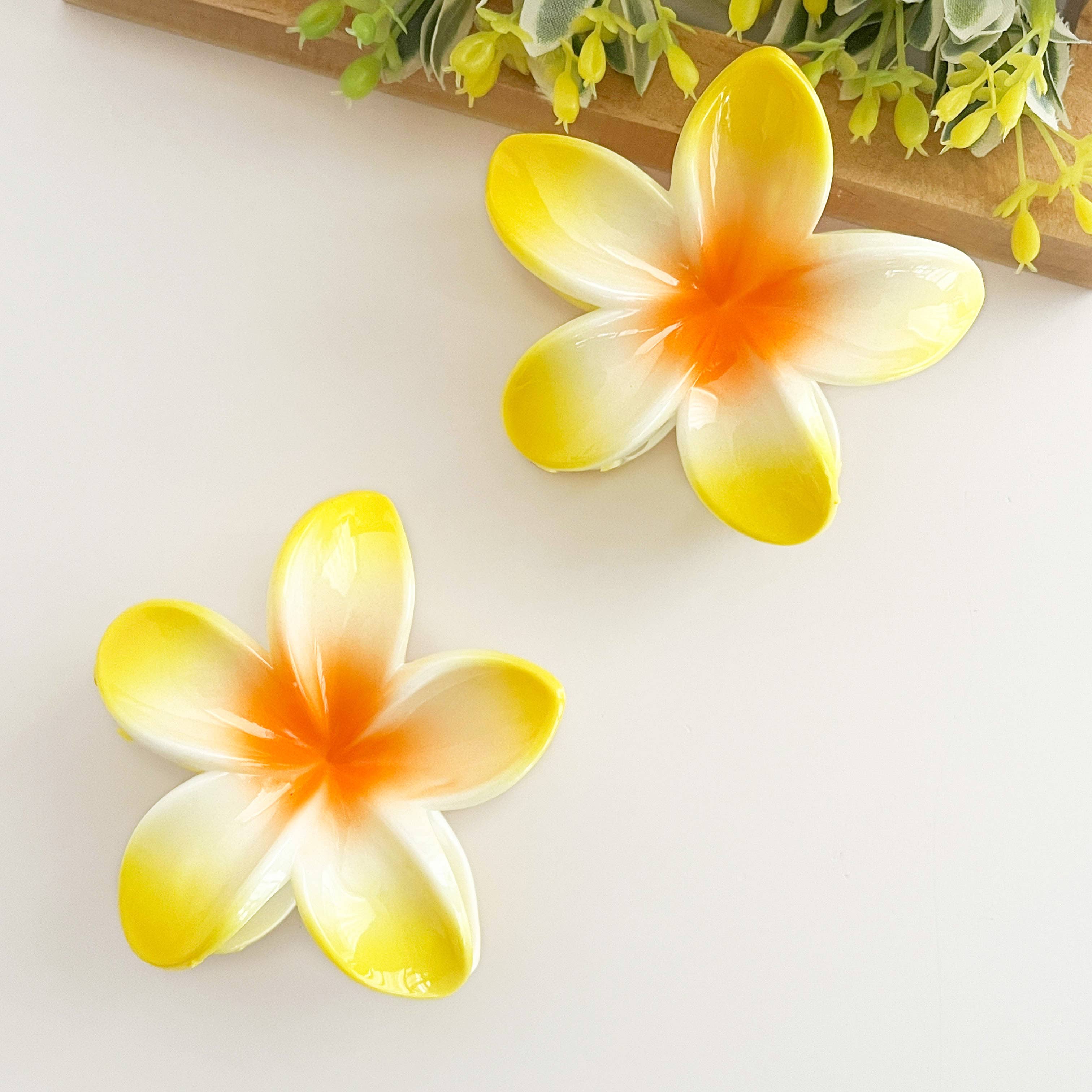 SoapElenGlen - Wholesale Hair Clip - Women's - Colorful plumeria hair Clip16