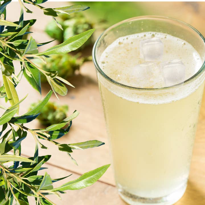 My Dilly Bag - Wholesale Flavored Syrup - Lemon Myrtle Sryup 150ml1