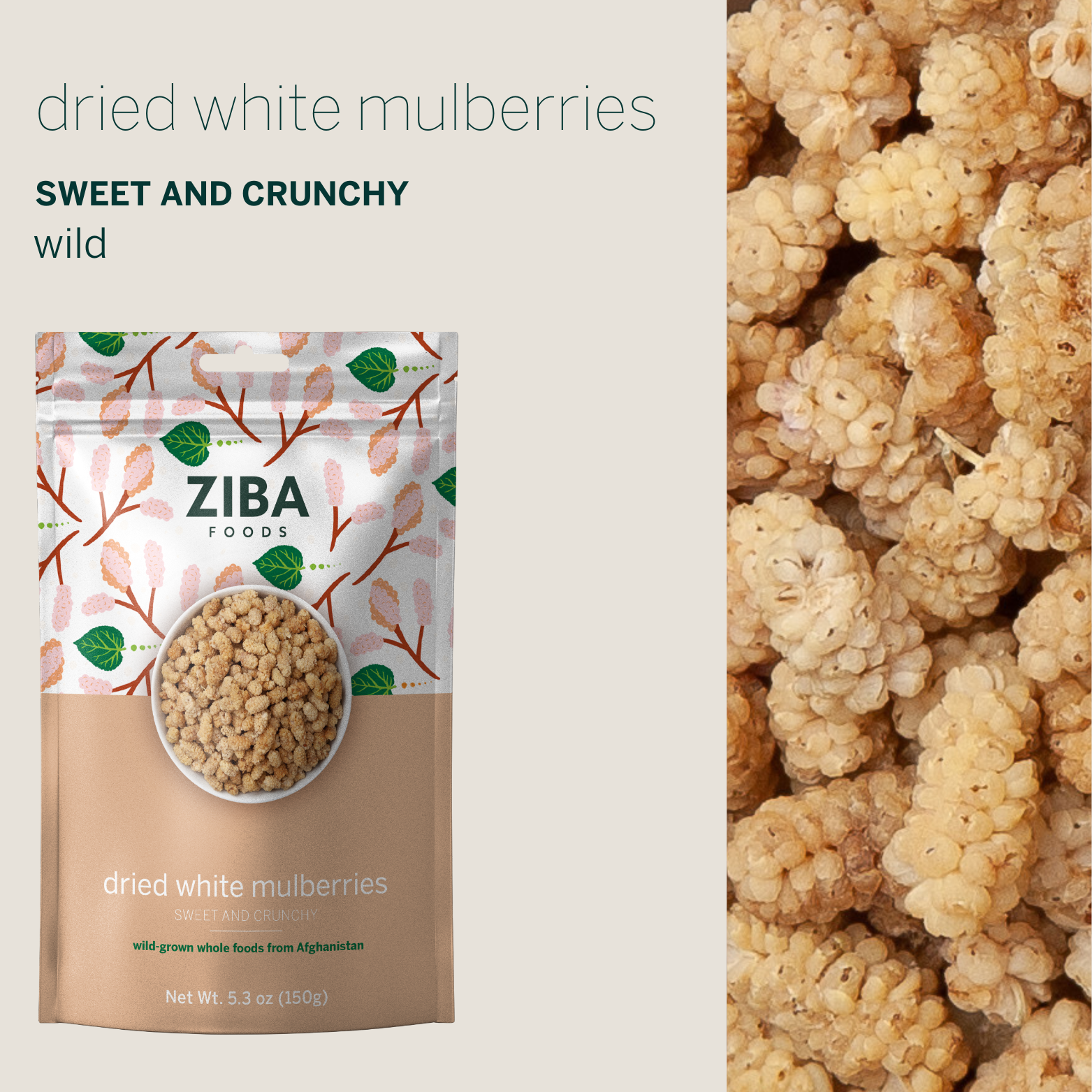 Ziba Foods – Engroshandel Tørret/dehydreret frugt – Tørrede hvide morbær, veganer 5 oz5