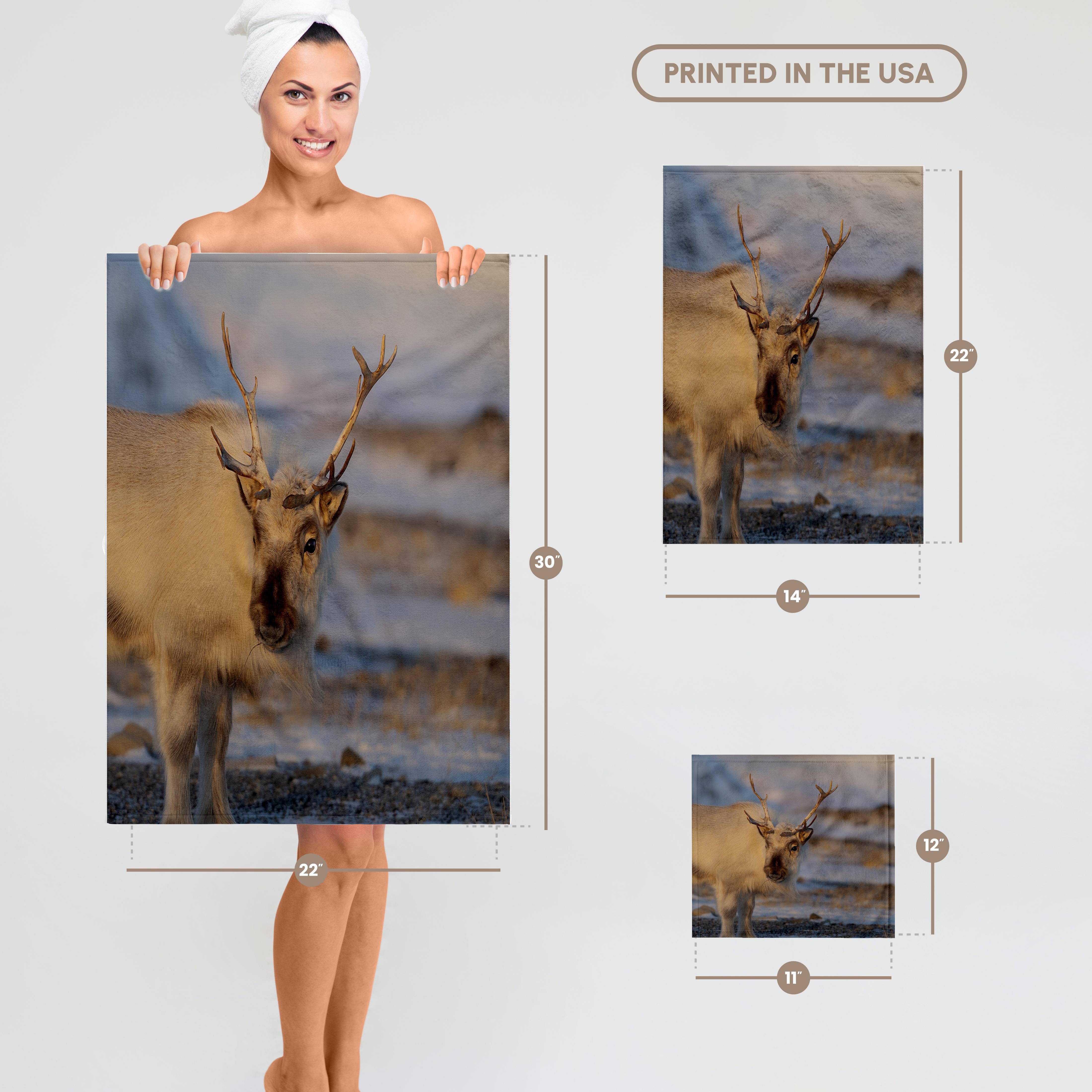 3dRose - Wholesale Bath Towel - 3dRose, Female Svalbard Reindeer near Pyramiden, Polar Regions, Arctic. 2, Towel6