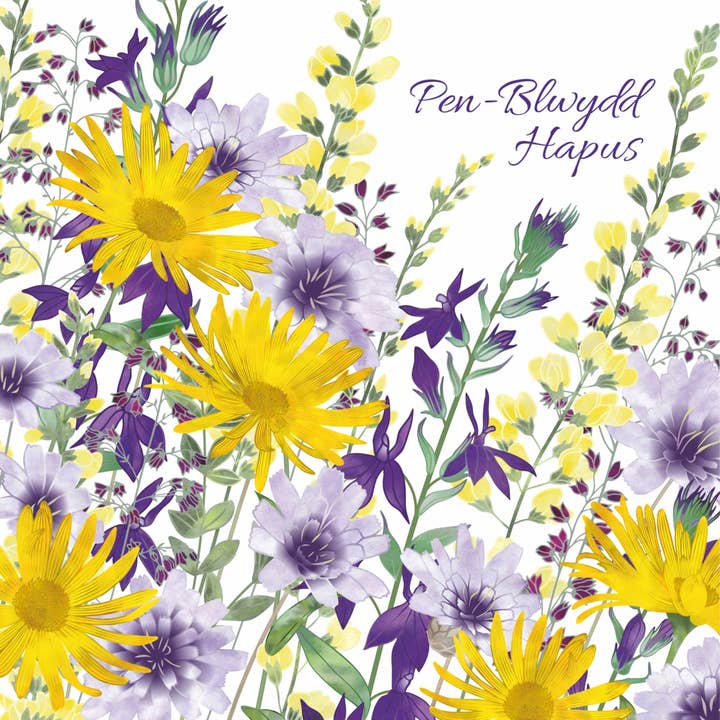 Biglietto di Compleanno Gallese Momenti di Sole per la vendita all'ingrosso da parte di Lilac Tree Designs