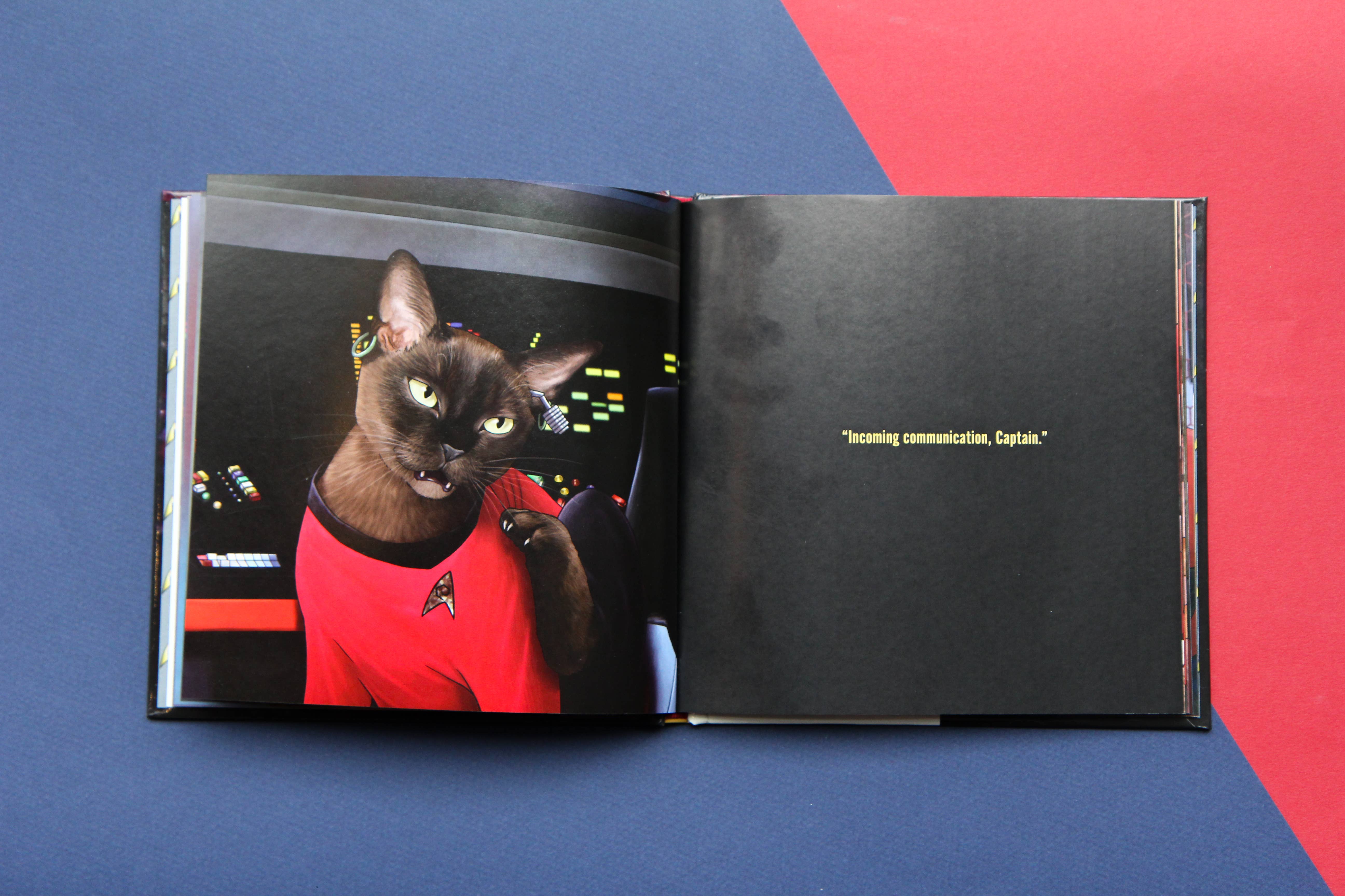 Chronicle Books - Wholesale Early Reader Book (6-8) - Star Trek Cats7