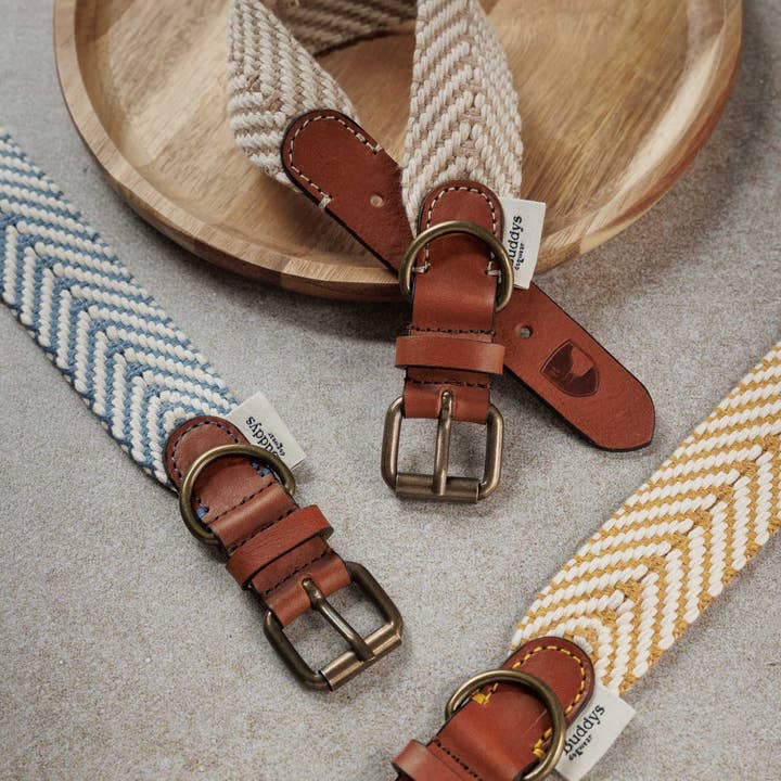 Buddys dogwear - Wholesale Pet Collar - Dog - Dog Collar Portixol Sun Collar // Summer Edition //Â