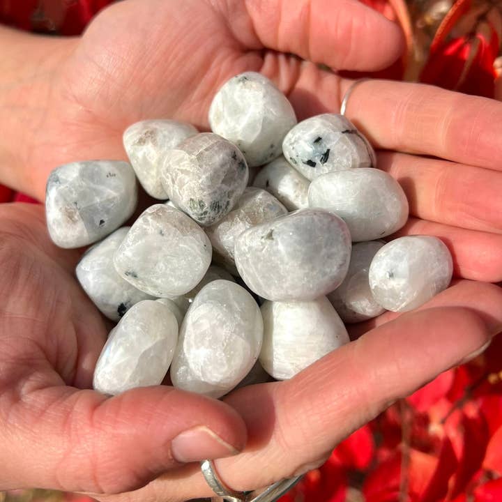 Quasar Gems USA - Wholesale Spiritual Stone/Crystal - Rainbow Moonstone Tumbled 1KG0